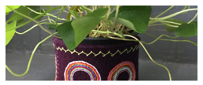 Textile pot with plant in it